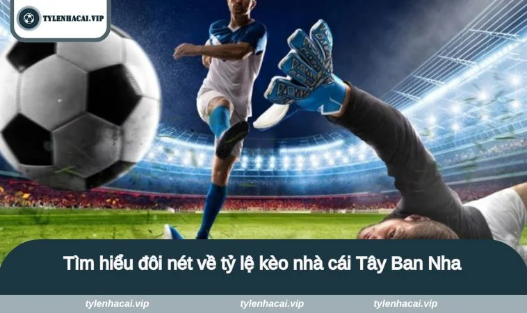 ty le keo nha cai tay ban nha 1 Tìm hiểu đôi nét về tỷ lệ kèo nhà cái Tây Ban Nha