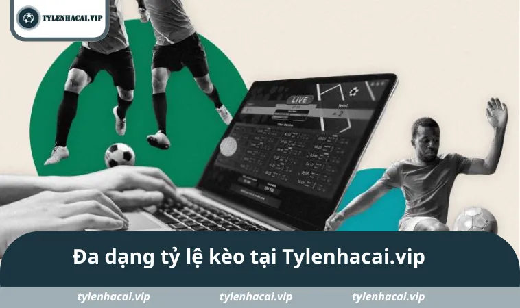 da dang ty le keo tai Tylenhacai.vip Đa dạng tỷ lệ kèo tại Tylenhacai.vip