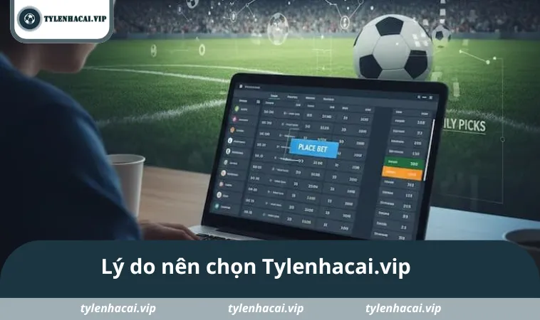 ly do nen chon tylenhacai.vip Lý do nên chọn tham khảo ty le keo tại Tylenhacai.vip